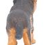 Baby-Figur Deutscher Schäferhund PA54039-5297 Papo 5