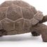Galapagos-Schildkrötenfigur PA50161-3929 Papo 7