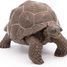 Galapagos-Schildkrötenfigur PA50161-3929 Papo 6