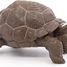 Galapagos-Schildkrötenfigur PA50161-3929 Papo 4