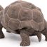 Galapagos-Schildkrötenfigur PA50161-3929 Papo 3