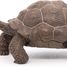 Galapagos-Schildkrötenfigur PA50161-3929 Papo 2