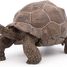 Galapagos-Schildkrötenfigur PA50161-3929 Papo 1