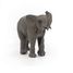 Junge Elefantenfigur PA50225 Papo 8