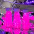 Sensorische Flasche Float Fluo rosa PB47678 Petit Boum 3