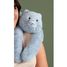 Beschwertes Plüschtier Katze blau 50 cm HO3480 Histoire d'Ours 2