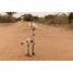 Giraffen-Plüschtier Safari Friends LD8354 Little Dutch 6