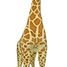 Giraffe-Riesen-Stofftier MD12106 Melissa & Doug 1