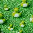 Froschball für die Badewanne PB85775 Petit Boum 5