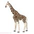 Giraffenfigur PA50096-2914 Papo 2