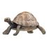 Schildkrötenfigur PA50013-2906 Papo 1