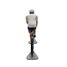 Radsportfigur R Bahrain Victory Trikot FR-R22 Fonderie Roger 4