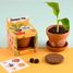 Ich züchte meinen Bananenbaum RC-014265 Radis et Capucine 3