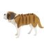 3D Papiermodell - Bernhardiner Hund FRI-11716 Fridolin 1