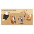 Buch und Puzzle Die Vögel SJ-329331 Sassi Junior 5
