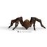 Aragog-Figur SC-13987 Schleich 6