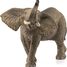 Männliche afrikanische Elefantenfigur SC-14762 Schleich 1