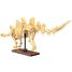 Stegosaurus-Skelett 297 Teile C59012W CaDA 2