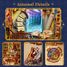 Book Nook Magische Bibliothek T-TQ134 Tonecheer 4