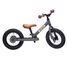 Trybike Laufrad 2-in-1 Stahl matt grau TBS-3-ANTM Trybike 5