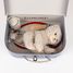 Koffer des Tierarztes Romy die Katze EG570118 Egmont Toys 3