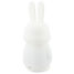 Nachtlicht und Wecker Hase UL8171 Ulysse 5