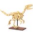 Velociraptor-Skelett 256 Teile C59014W CaDA 1