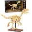 Velociraptor-Skelett 256 Teile C59014W CaDA 4