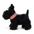 Walter der Plüschhund 17 cm EG130618 Egmont Toys 2