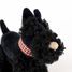 Walter der Plüschhund 17 cm EG130618 Egmont Toys 4