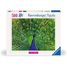 Puzzle Pfau 500 Teile RAV12001332 Ravensburger 1