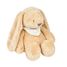 Nachtlicht Kuscheltier Kaninchen Sleepy NA876551 Nattou 1
