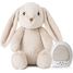 Musikalisches Nachtlicht Billy Bunny Cloudb-7703-BB Cloud b 1
