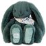 Grünes Fleurette-Kaninchen-Plüsch 35 cm DC4305 Doudou et Compagnie 1