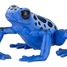Äquatorial-blauen Frosch