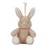 Kuschel-Hase Licht und Ton LD8441 Little Dutch 1