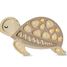 Schildkröte-Nachtlampe Sanddüne LL077-467 Little Lights 1