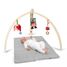 Baby Spyder Holz Fitnessstudio