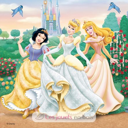 Puzzle Disney-Prinzessin-Träume 3x49 pcs RAV-09411 Ravensburger 5