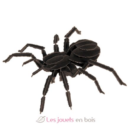 3D Papiermodell - Vogelspinne FRI-11605 Fridolin 3