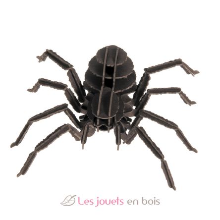 3D Papiermodell - Vogelspinne FRI-11605 Fridolin 2