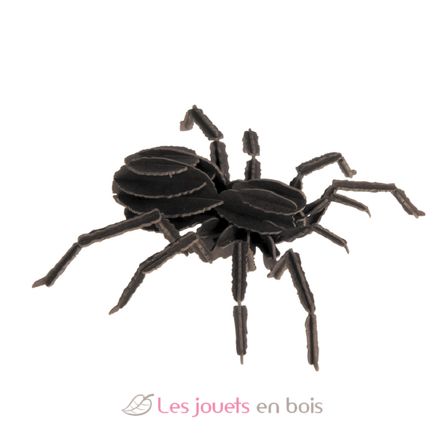 3D Papiermodell - Vogelspinne FRI-11605 Fridolin 1