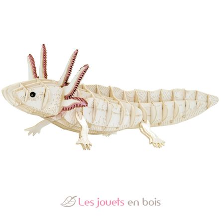 3D Papiermodell - Axolotl FR-11755 Fridolin 1