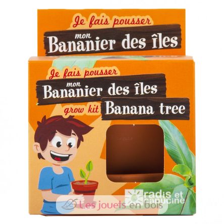 Ich züchte meinen Bananenbaum RC-014265 Radis et Capucine 3