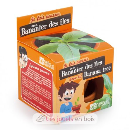 Ich züchte meinen Bananenbaum RC-014265 Radis et Capucine 4