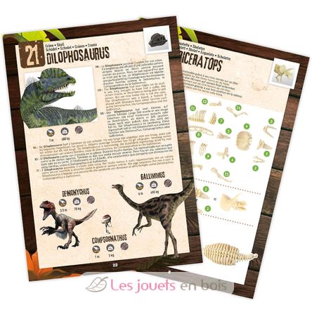 Dino-Überraschungsbox BUK2135 Buki France 4