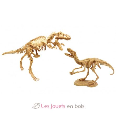 Dino Dig T-Rex und Raptor BUK2139 Buki France 3