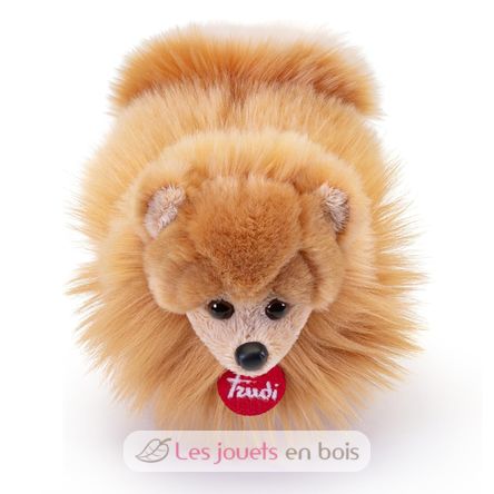 Plüsch Pomeranian-Hund 22 cm TRU-22347 Trudi 3
