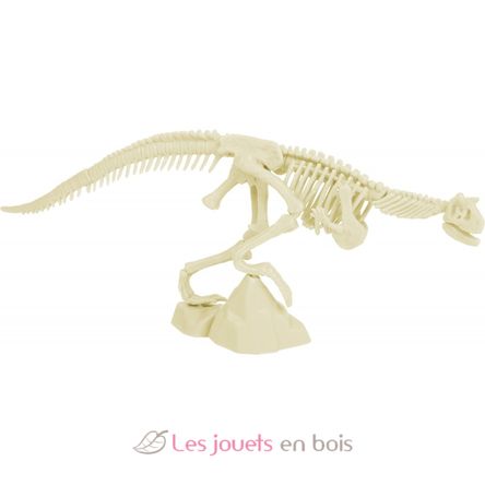 Paläontologie-Kit - Velociraptor UL2822 Ulysse 3