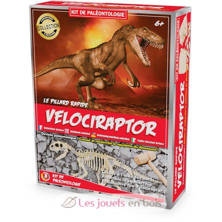 Paläontologie-Kit - Velociraptor UL2822 Ulysse 1